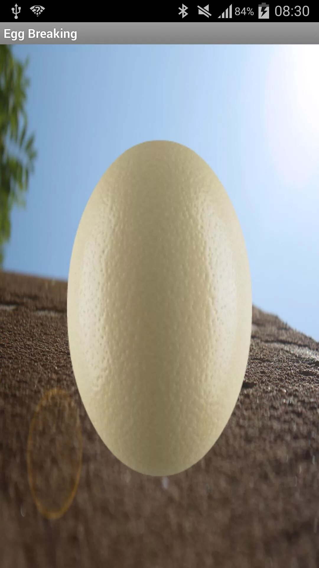 Eggs android