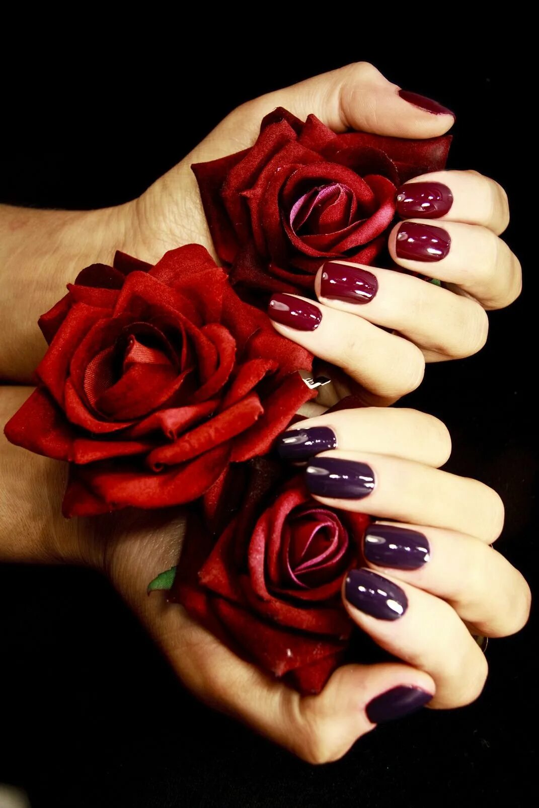Глянцевые розы. Розы на ногтях. Маникюр с розами. Красные ногти с розами. Красный маникюр с розами.