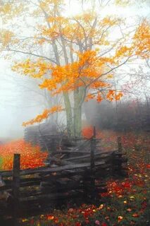 Открытка пасмурное осеннее утро