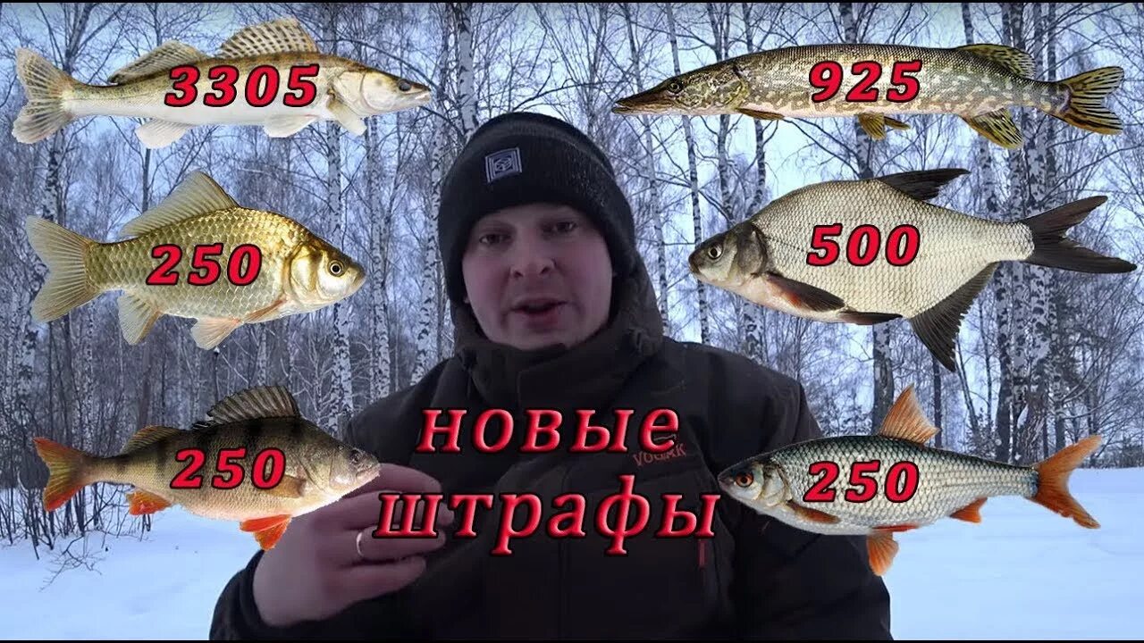 Инспектор рыбнадзора. Штрафы за рыбалку в 2024 году. Штрафы за рыбалку в 2024 году. Рыбоохрана ярославская область. Штраф от рыбнадзора.