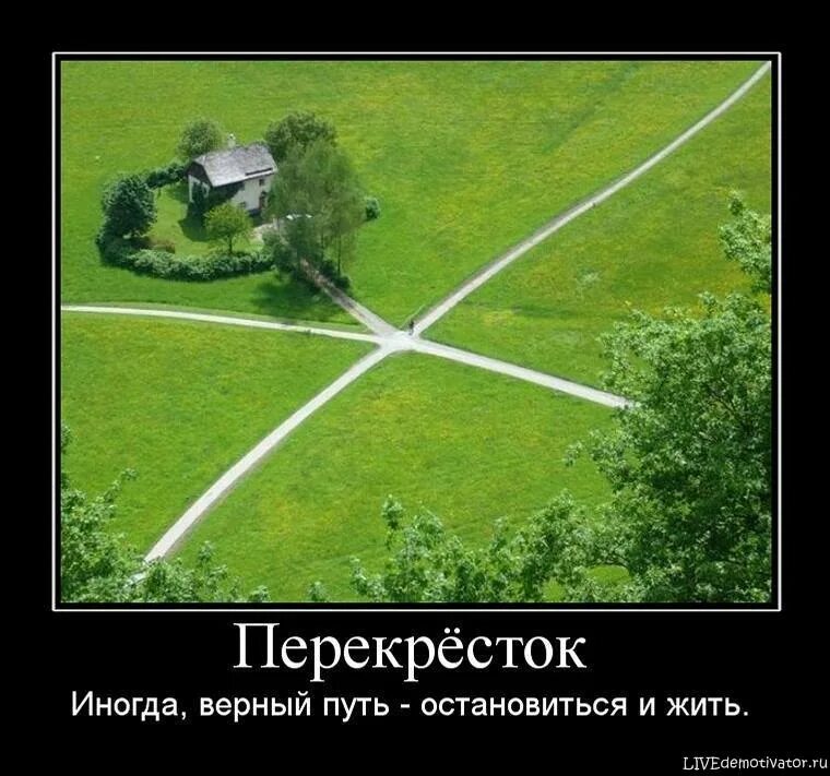 У каждого свой путь. У каждого свой путь юмор. Правильный путь в жизни. Свой путь демотиваторы.