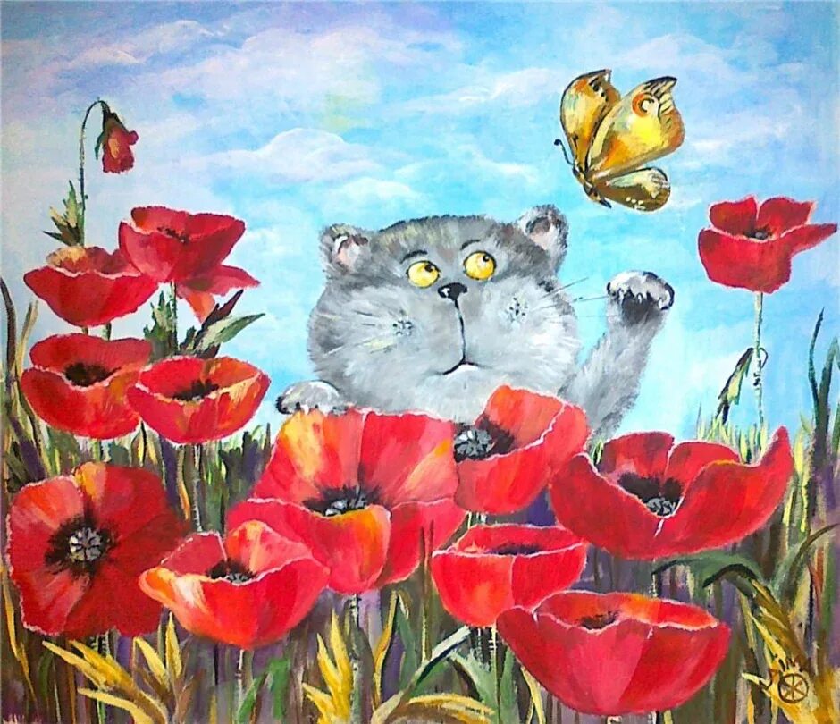 Мак коты