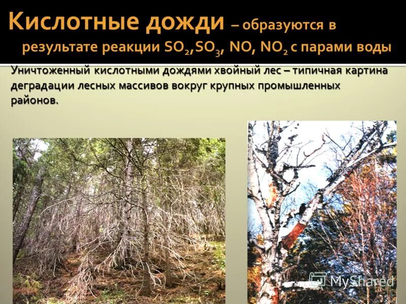 выпадение кислотных дождей приводит к