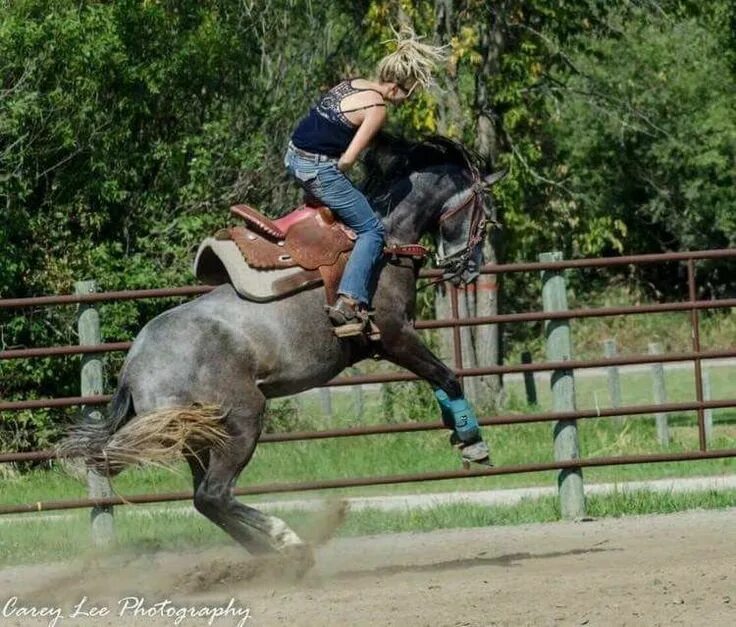 Верховая езда. Any ride. Barrel racing. Верховая езда в греции. Barefoot cowgirl.