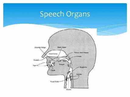 Speech are