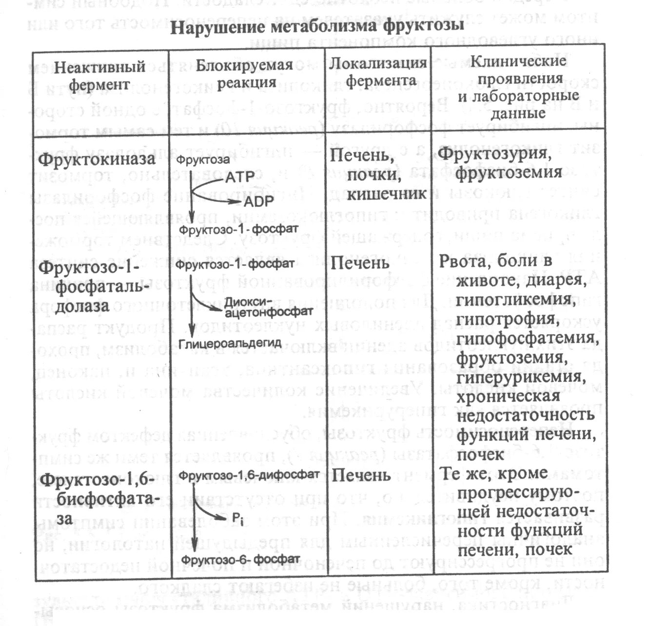 Метаболизм фруктозы и галактозы в печени. Обмен фруктозы схема. Нарушение метаболизма фруктозы и галактозы. Нарушения метаболизма фруктозы биохимия. Нарушения фруктозы