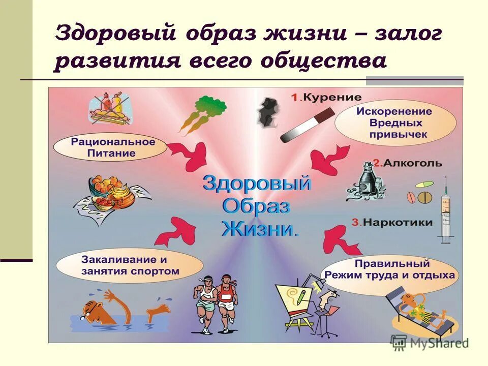 Здоровый образ жизни. Здоров будешь все добудешь. Залог здорового образа жизни. Проект здоровый образ жизни. Здоровый образ жизни презентация 10 класс обж