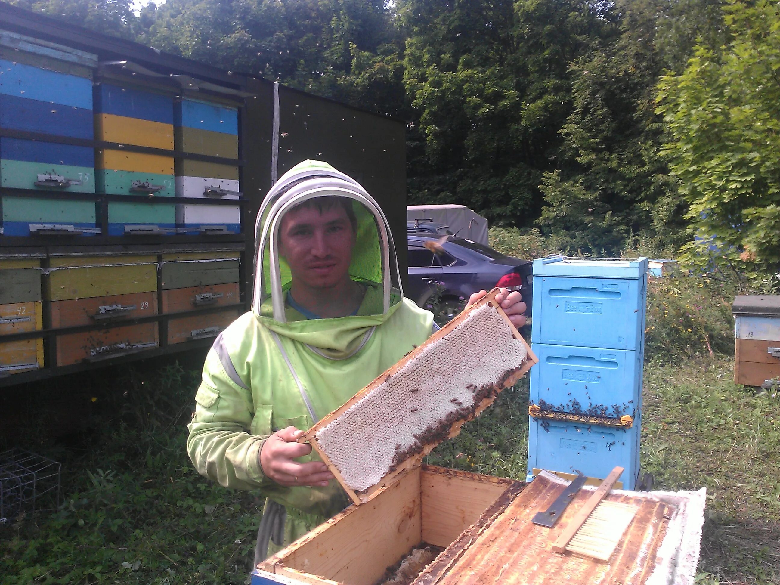 Большая кочевка. Нуримановский район пасека. Пасека дмитриевых. Зимовка пчел. Башкирские пасеки мед.