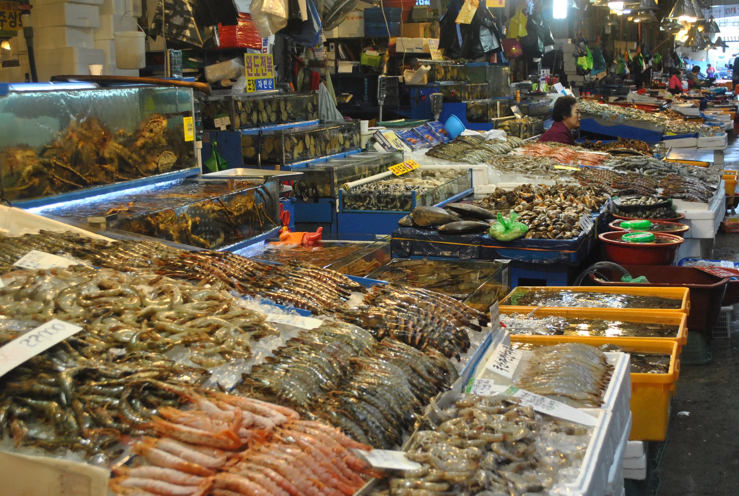 Где рыбный рынок на волне. Рынок морепродуктов. Рыбный рынок. Рыба на рынке. Китайский рынок морепродуктов.