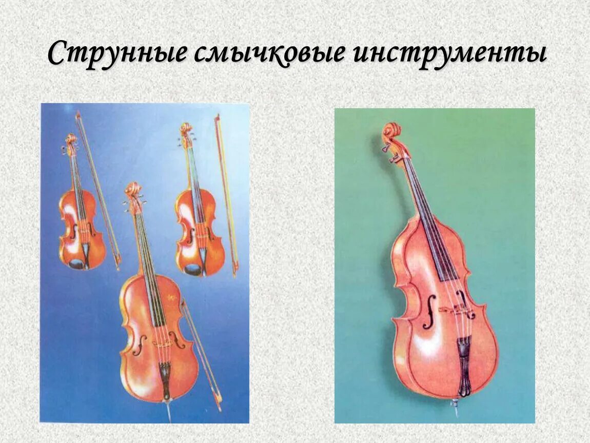 Общее название струнных смычковых инструментов 5