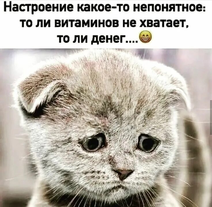 Мем не знаю. Yt eltn. Yt eltn. Кина не будет кинщик. Yt eltn.