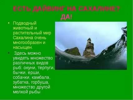 Кто доказал что сахалин