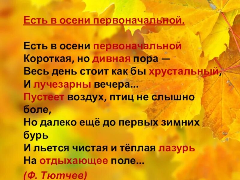 Тютчев есть в осени сколько строф. Тютчев есть в осени сколько строф