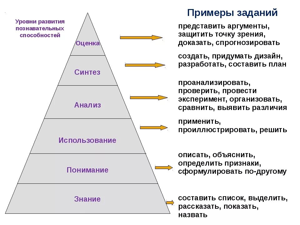 Когнетивное способности. Уровни развития способностей. Формирование когнитивных навыков. Уровень развития познавательных способностей.