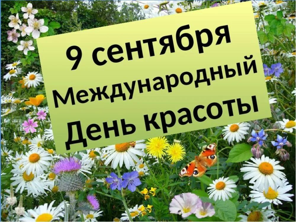 Каникулы 9 дней