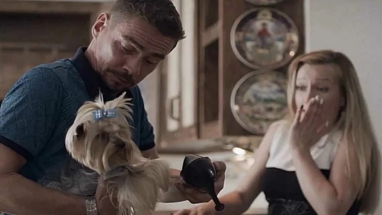 Бим 2 куда делся жук. Пес бим сериал. Бим новый сезон 2022. Бим 2 куда делся жук. Бим сериал 2021 2022.