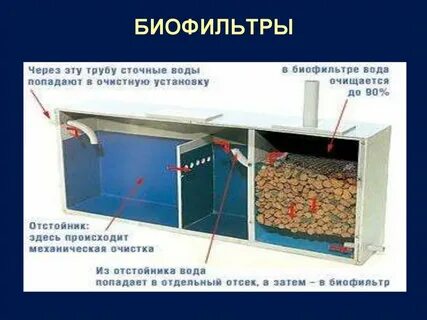 Роль биофильтров выполняют