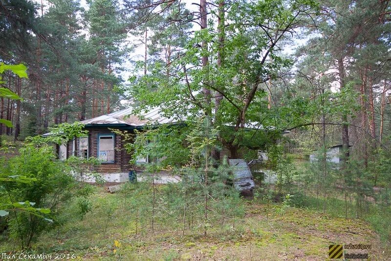 Пионерский буревестник. Заброшенный лагерь Буревестник Нижегородская. Заброшенный Пионерский лагерь Буревестник. Пионерский лагерь Буревестник Нижегородская область Кстовский район. Буревестник лагерь Сысерть.