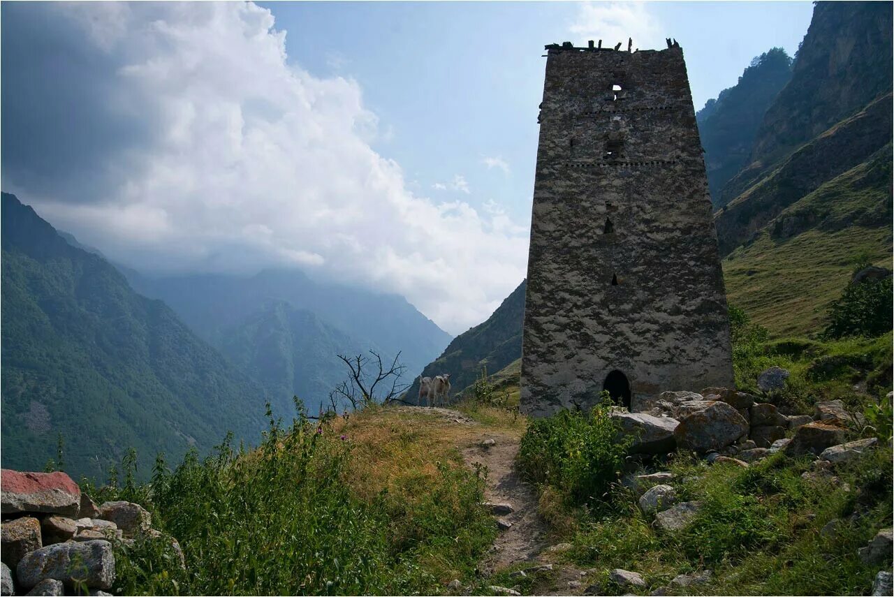 Кабардино-Балкария башня Абаевых. Башня Абаевых верхняя Балкария. Кабарда башня. Башня имама Шамиля Дагестан.