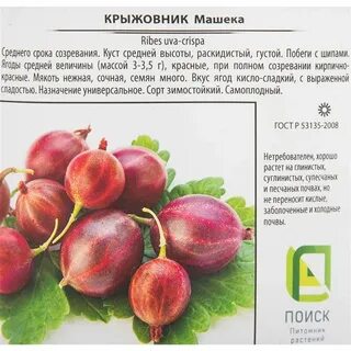 Систематика крыжовника