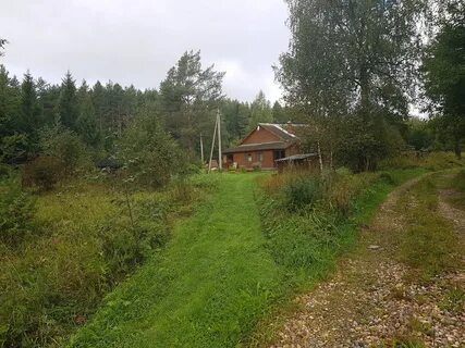 Выборгское лесничество