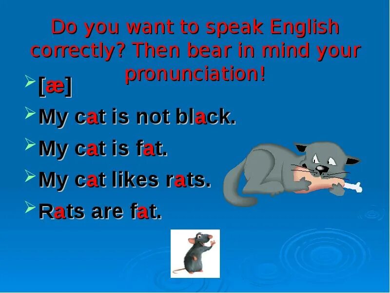 Стих my Cat is Black. Предложения по английский со словом fat Cat. My Cat is fat. Презентация so many Countries so many Customs. His cat likes