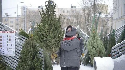 Елочный базар московский