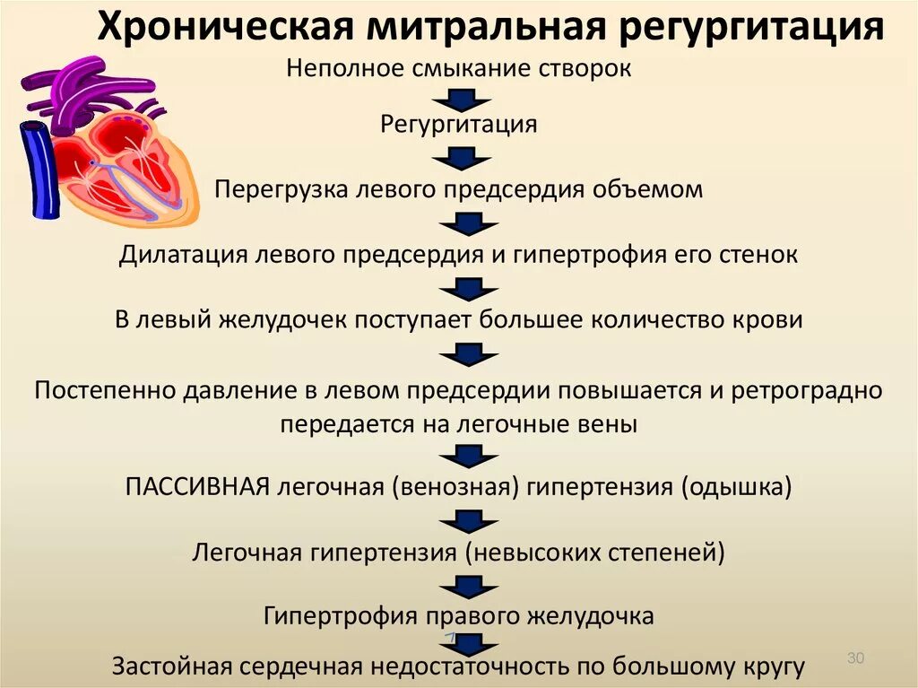 Патогенез митральной недостаточности схема. Митральная регургитация патогенез. Регургитация митрального клапана 1 степени что это такое. Регургитация митрального клапана 1-2. Сердечная недостаточность митрального клапана