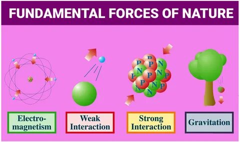 Universe force
