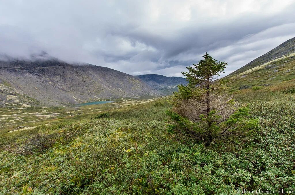 кольский полуостров горы хибины. культура хибин. кировск хибины лето. культура хибин. мурманск горы хибины.