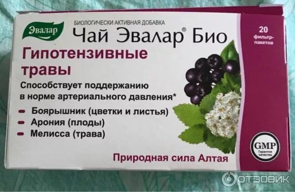 Травы понижающие давление при гипертонии