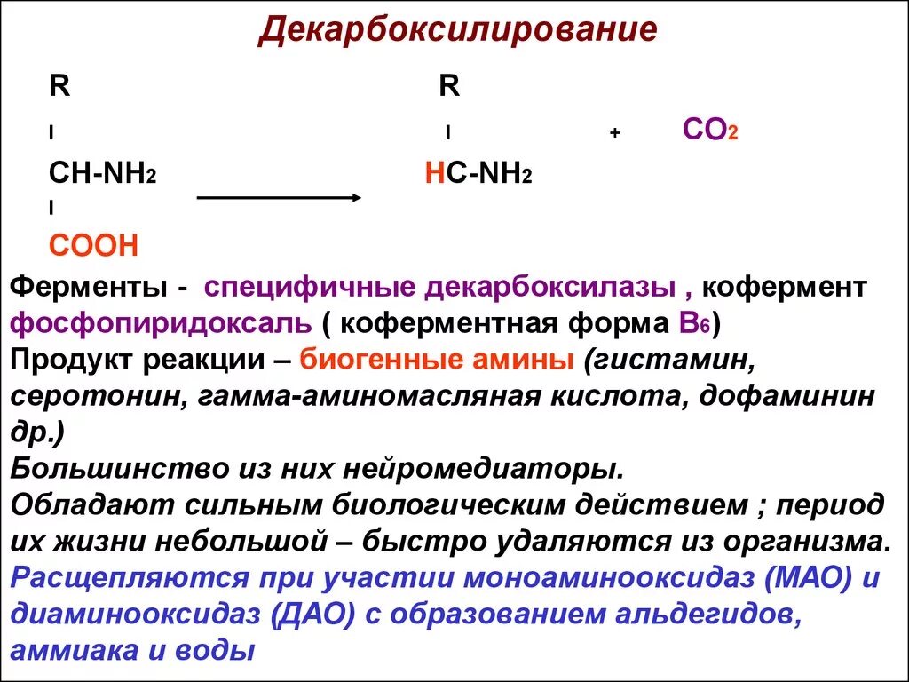 Декарбоксилирование аминокислот общий вид реакции. Декарбоксилирование биогенные Амины. Продукты реакции декарбоксилирования аминокислот:. Декарбоксилирование Альфа аминокислот условия. Декарбоксилирование аминокислот реакция