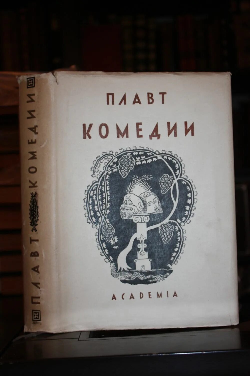 Тита макция плавта. Тита макция плавта. Плавт близнецы. Тита макция плавта. Плавт комедии.