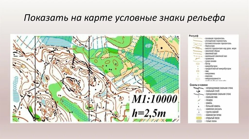 Условные обозначения топографических карт рельеф. План местности карта. Условные обозначения рельефа местности. Условный план местности.