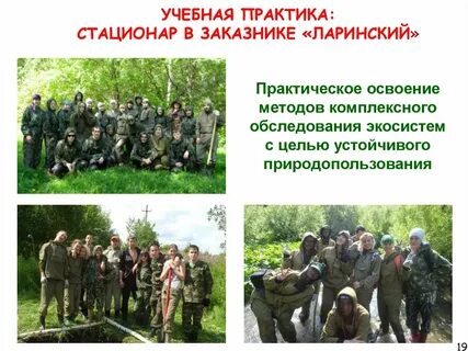 Устойчивые практики
