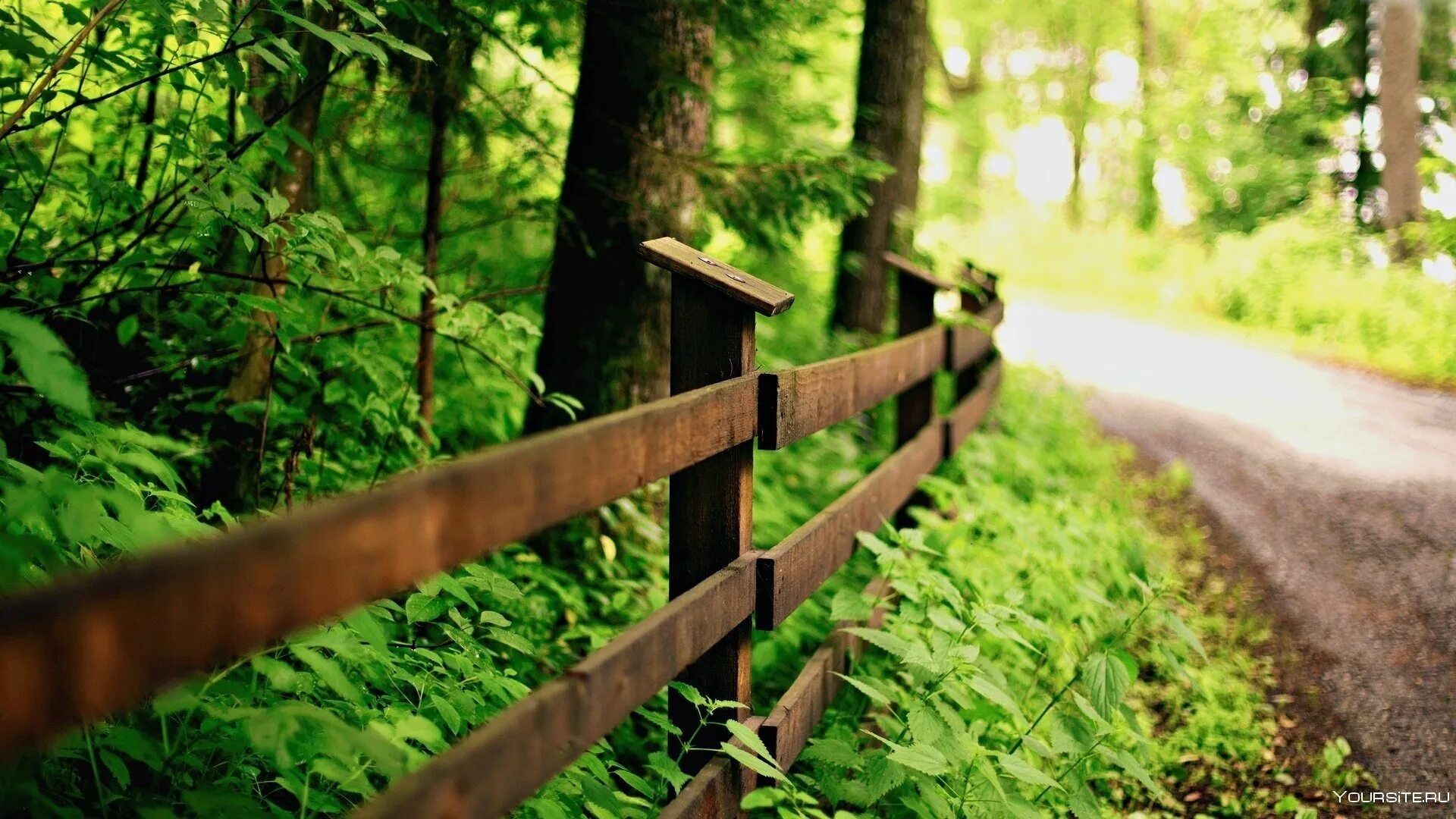 Background photo