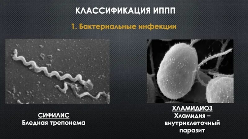 Заболевания передающиеся микроорганизмами. Классификация ИППП. Классификация болезней передающихся половым путем. Заболевания передающиеся половым путем классификация. Бактерии передающиеся половым путем.