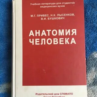 Учебник привеса по анатомии