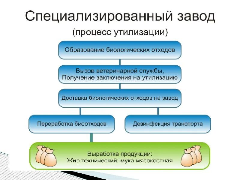 Утилизация биоотходов. Биологическая переработка отходов. Биологический метод утилизации отходов. Ликвидация биологических отходов. Правила сбора биологических отходов