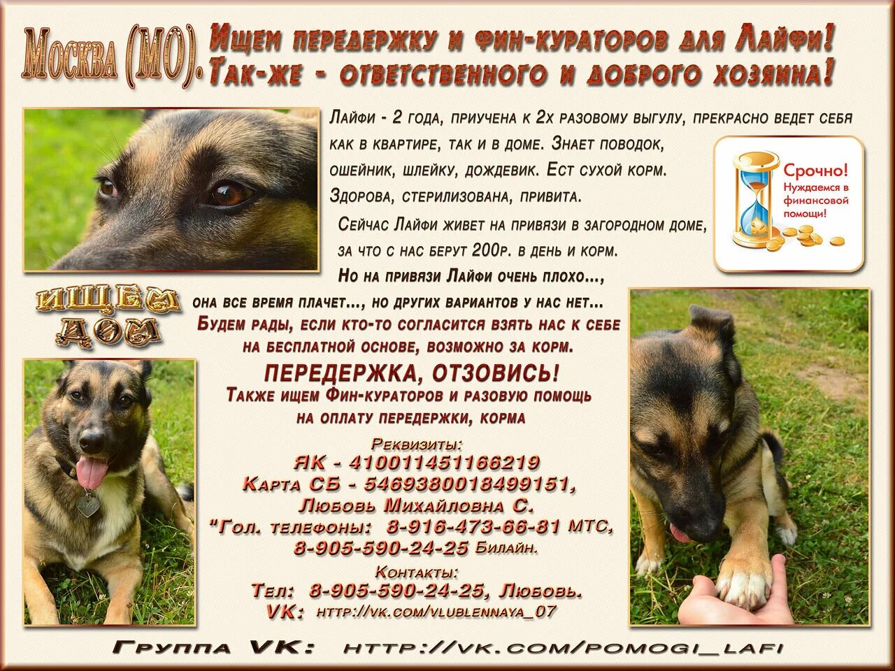 Гостиница для собак. Домашняя передержка животных. Отель для животных. Передержка животных. Картинка нужна передержка.