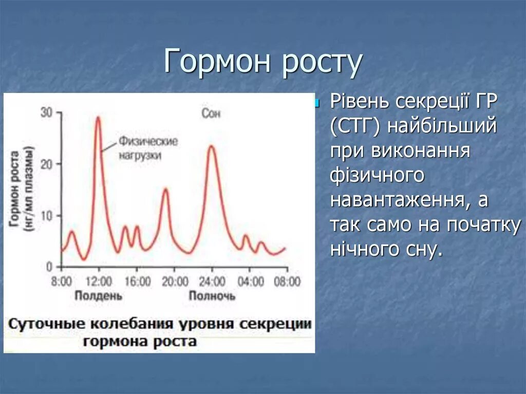 Суточные колебания гормонов. Секреция гормона роста. Профиль гормона роста. Гормон роста в Египте. Без гормонов роста