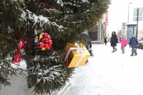 2017 год красноярск