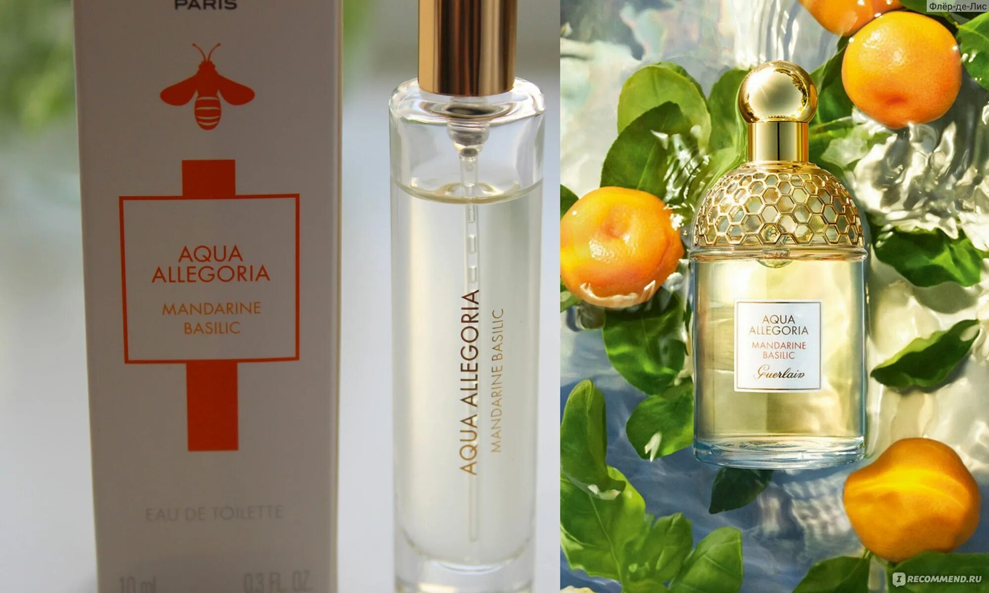 Аллегория базилик аромат. Aqua allegoria mandarine basilic 10 ml. guerlain aqua allegoria mandarine basilic. герлен аллегория мандарин базилик. guerlain aqua allegoria mandarine basilic 10 мл.