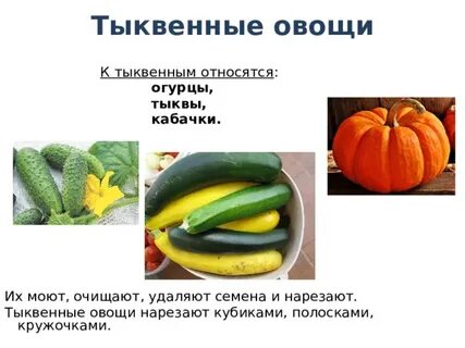 Огурцы относятся к группе овощей