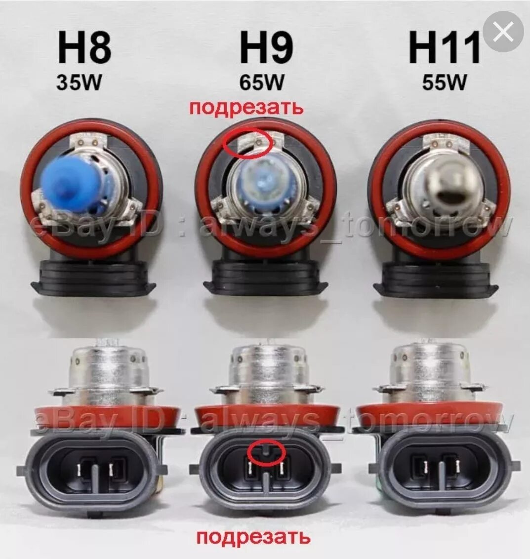 Купить h 16. Цоколь разъем лампочки h11. Лампы h16 SCT. Лампочка н 8 и н11. Разъем лампы h11, h8, h9 Cargeen.