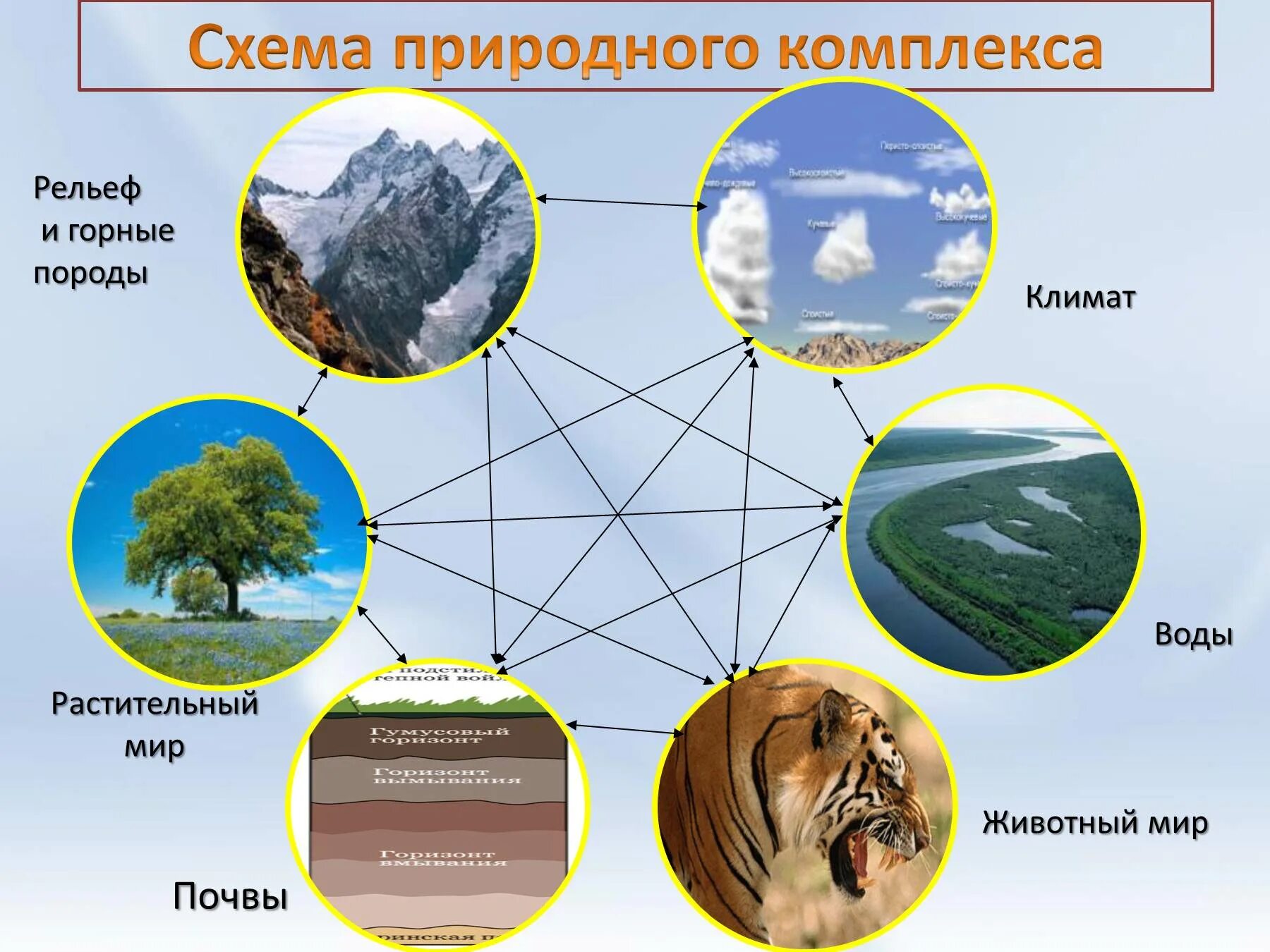 Органический мир нашей планеты подразделяется на. Географическая оболочка земли схема. Природные комплексы. Схема природного комплекса. Схема природного территориального комплекса.