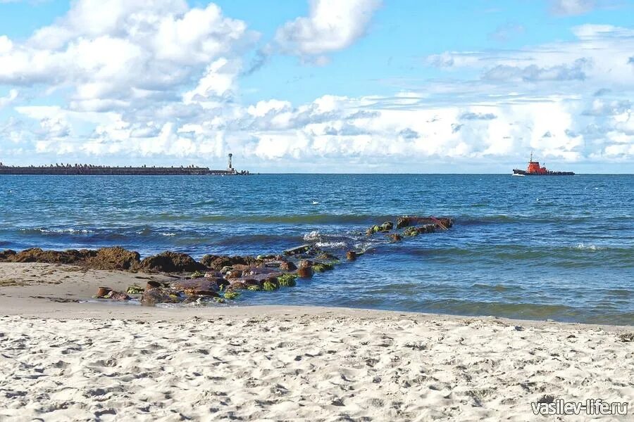Балтийское море светлогорск. Пионерское балтийское море. Пионерский курорт калининградская. Балтийское море пляж пионерский. Пионерский курорт калининградская область.