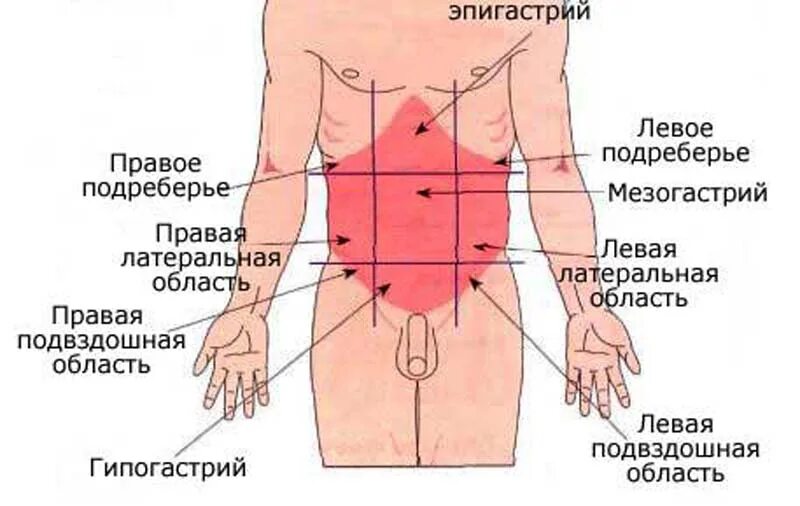 Почему болит живот где