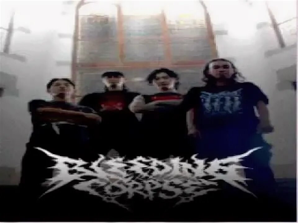 Футболка cannibal corpse the bleeding. Bleeding corpse. Надпись "druid" в стиле death metal. Black vmetalista corpse. Bleed this earth.