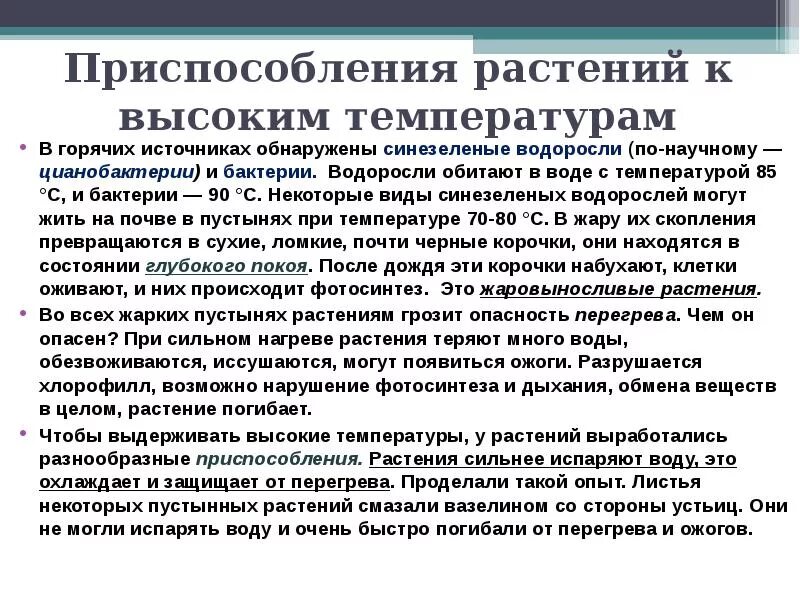 Адаптация к низкой температуре. Приспособления растений к высоким т. Приспособления растений к высоким температурам. Адаптация растений к высоким температурам. Приспособление к низким температурам.